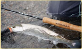 Kata pult logo on fly fishing rod with Trout
