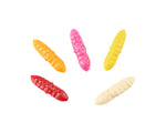 Trout Collector Larva Assortments