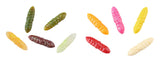 Trout Collector Larva Assortments